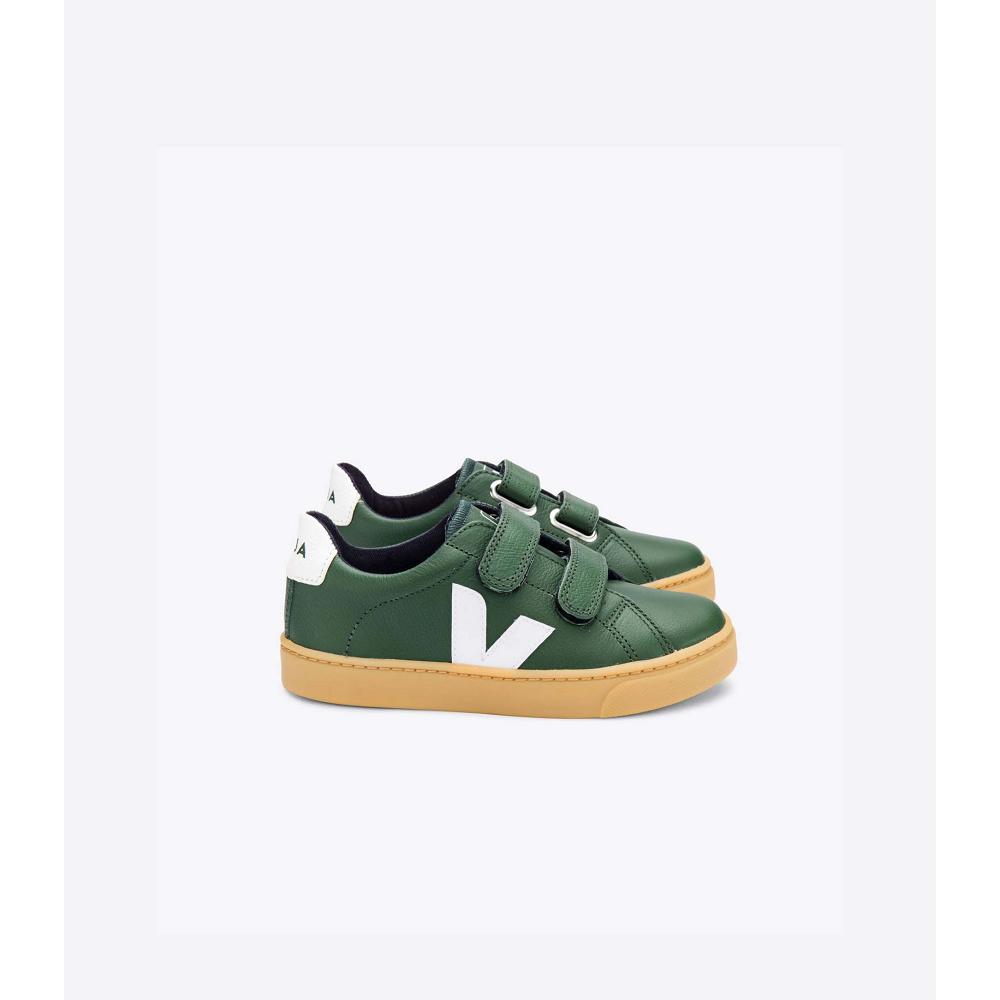 Green Kids\' Veja ESPLAR LEATHER Shoes | AU 736TCE